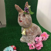 Pasqua con noi e con chi vuoi