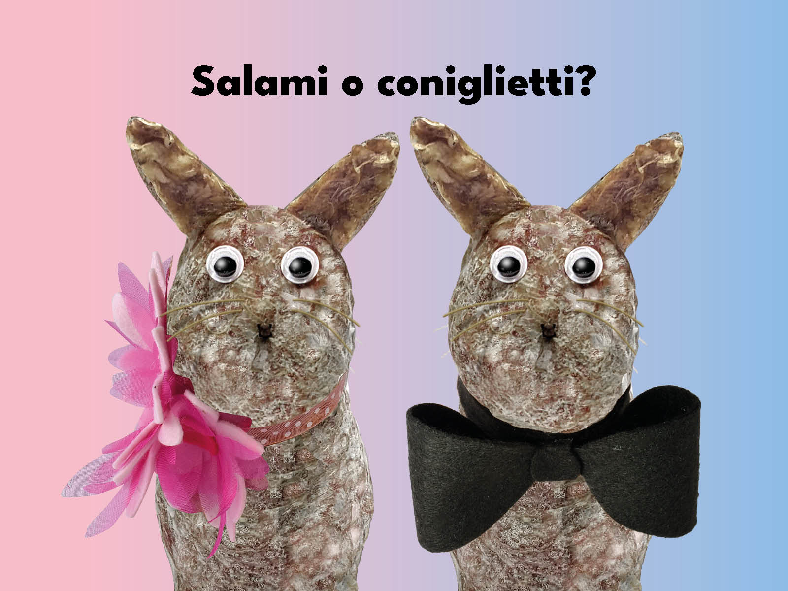 Salami a forma di coniglio Salumificio Carretta